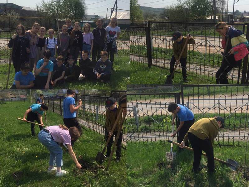 Акция «Посади дерево и сохрани его» продолжается…