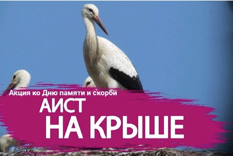 «Аист на крыше»