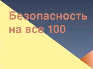 Познавательный  час «Безопасность на все 100»