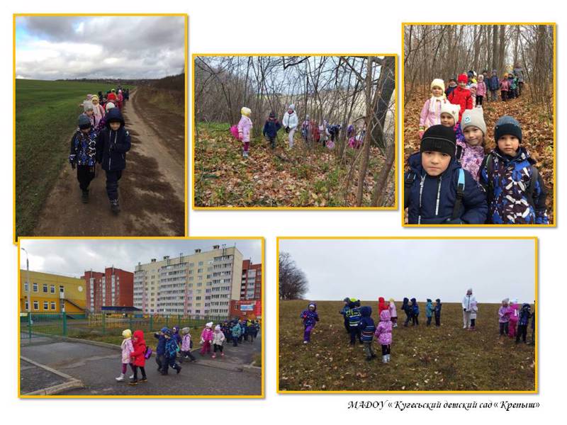 Снова в поход.