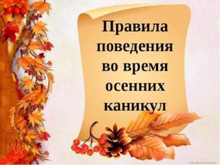 ПРАВИЛА поведения во время осенних каникул.         С 25 - 7 ноября - Осенние каникулы