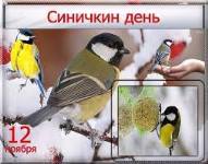 «Синичкин день», организованный в школьной библиотеке, классным коллективом воспитанников Е.С.Кузнецовой, ПЕРВОКЛАССНИКОВ