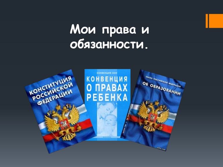 Мои права мои обязанности проект 7 класс