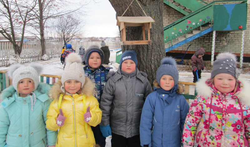 Поможем пережить птицам зиму.