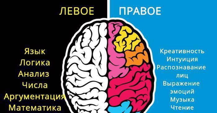 Газета "Два полушария-мозг один"