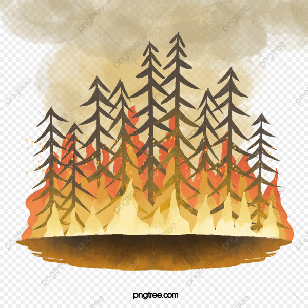 О соблюдении противопожарных правил поведения в лесу и на прилегающих к лесу территориях в пожароопасный сезон 2022 г.