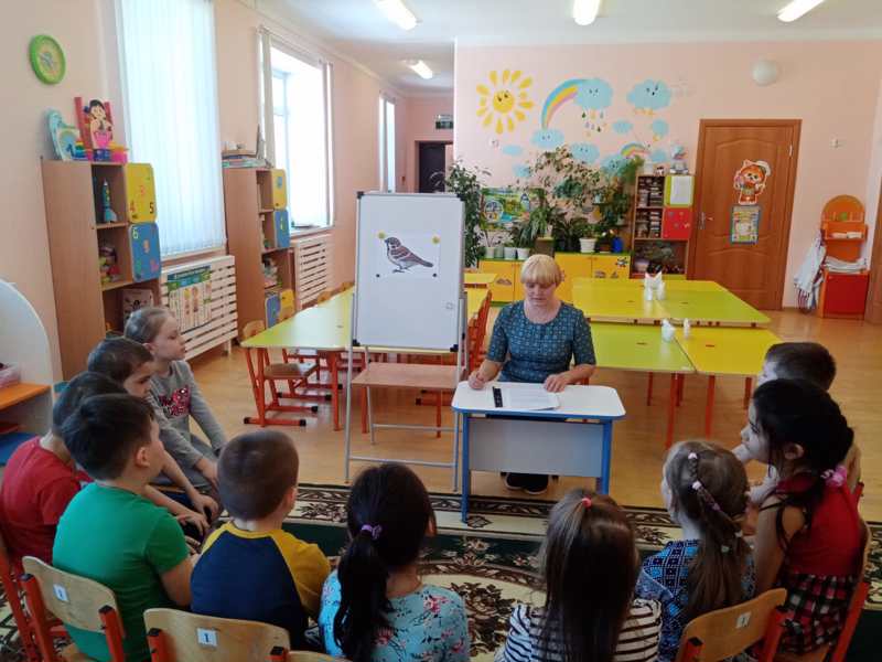 Познакомились с птицей года - с домовым воробьем