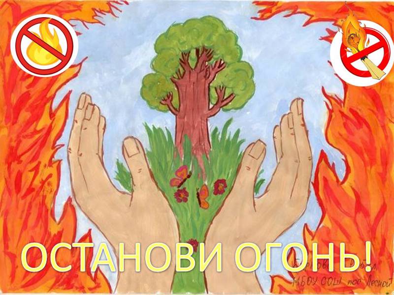 "Останови огонь! "   Ролики