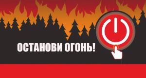 Информационная противопожарная кампания «Останови огонь!»