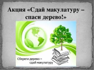 2 б класс школы №1 принял активное участие в акции «Спаси дерево!».