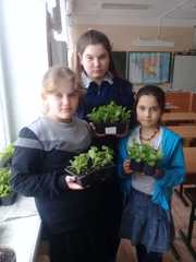 Ученики школы выращивают рассаду цветов