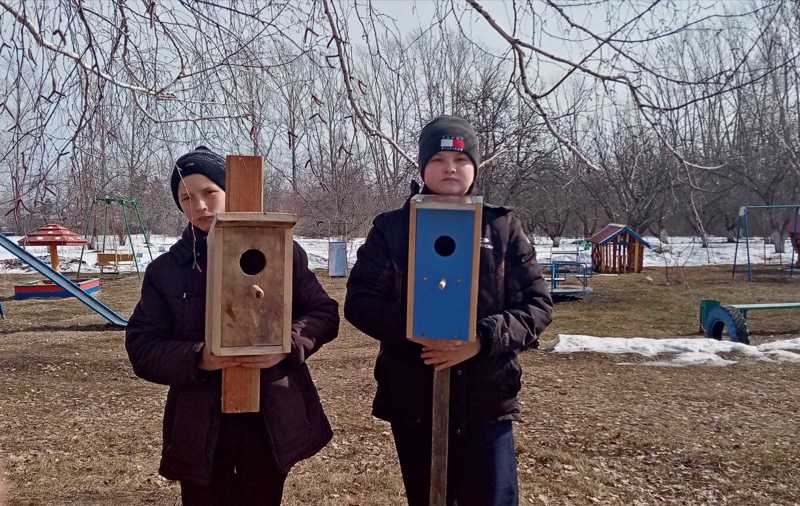 Акция «Птичий дом».