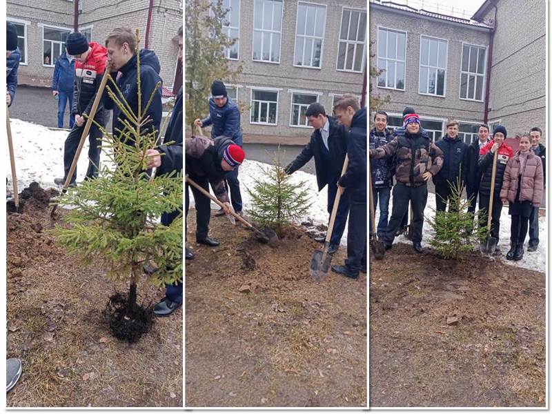 Обучающиеся 9-го класса заложили Аллею выпускников