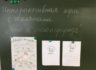 В рамках Всероссийского «Дня  Эколят», который проходит с 26 апреля по 12 мая,  в 4а и 4б классах прошли интерактивные игры по теме: "Что я знаю о природе?".