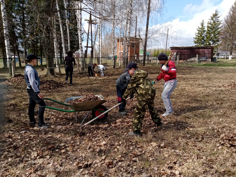 В школе прошел субботник