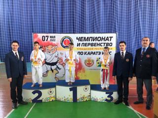 Успешное выступление на Чемпионате и Первенстве Федерации каратэ Чувашской Республики по каратэ WKC
