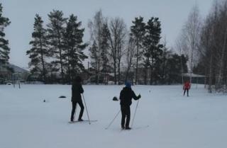 Лыжная прогулка