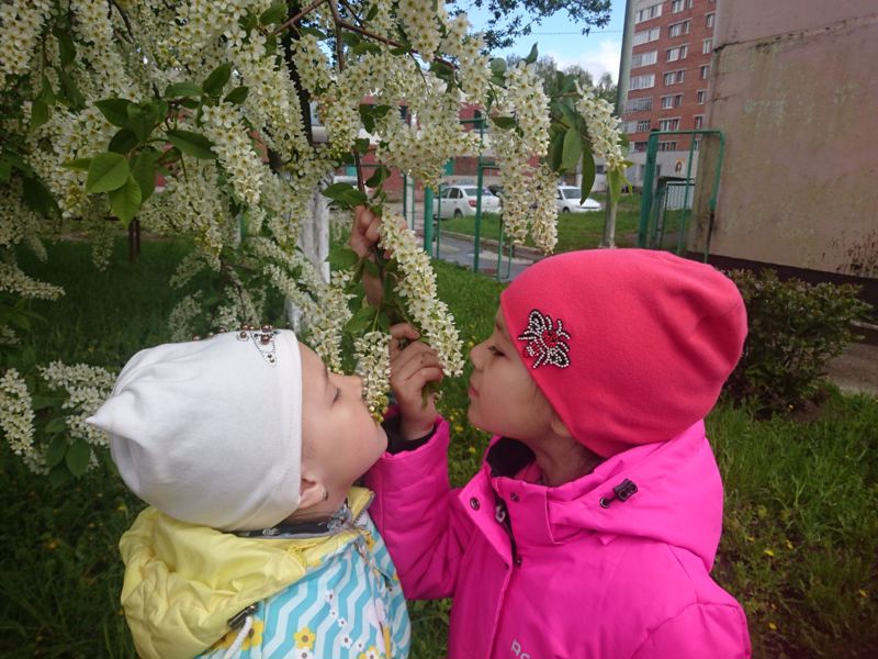 Не проходите мимо красоты