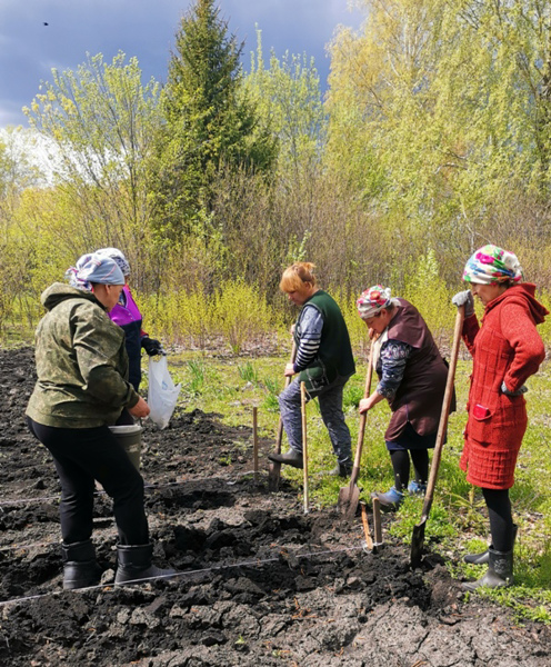 Огород наш, огород...