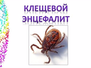 КЛЕЩЕВОЙ ВИРУСНЫЙ ЭНЦЕФАЛИТ и меры его профилактики