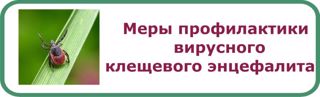 Профилактика клещевого вирусного энцефапита