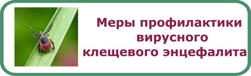 Профилактика клещевого вирусного энцефалита.