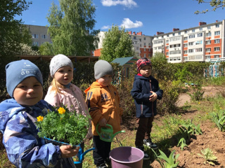 Создание цветника в группе "Малина"