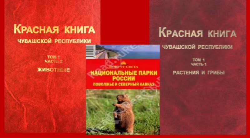 Подведены итоги республиканского творческого конкурса «По страницам Красной книги родного края».