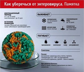 Профилактика энтеровирусных инфекций