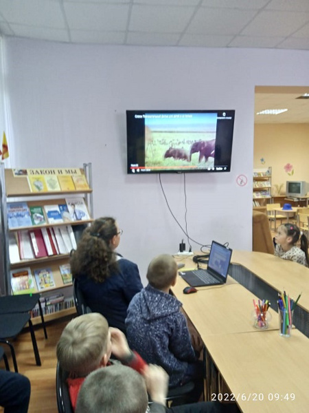 Двадцатый день- "﻿День защиты слонов в зоопарках"