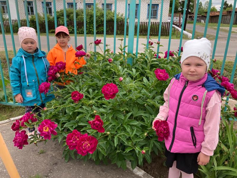 Не рвите цветы, не рвите...