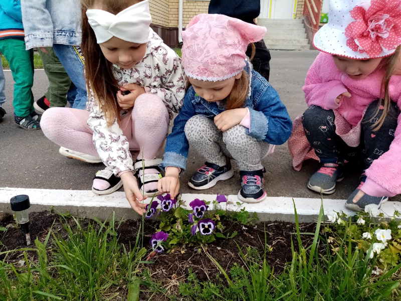 Природоведческая прогулка "Я хочу дружить с природой"