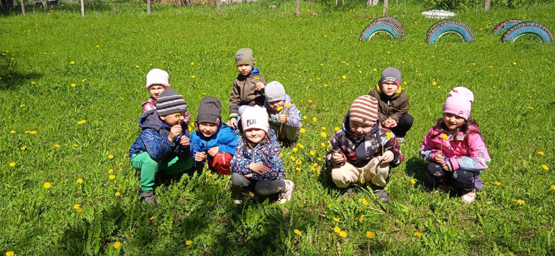 Одуванчик  — подарок солнца»