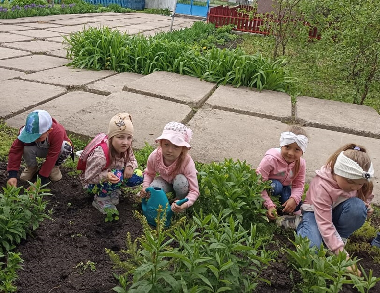 Посадили мы цветы