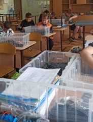 В летнее время в нашей школе организованы и функционируют кружки и секции.