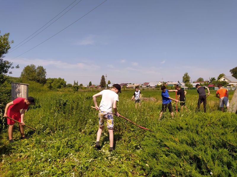 Продолжается летняя практика в МБОУ "Яльчикская СОШ"