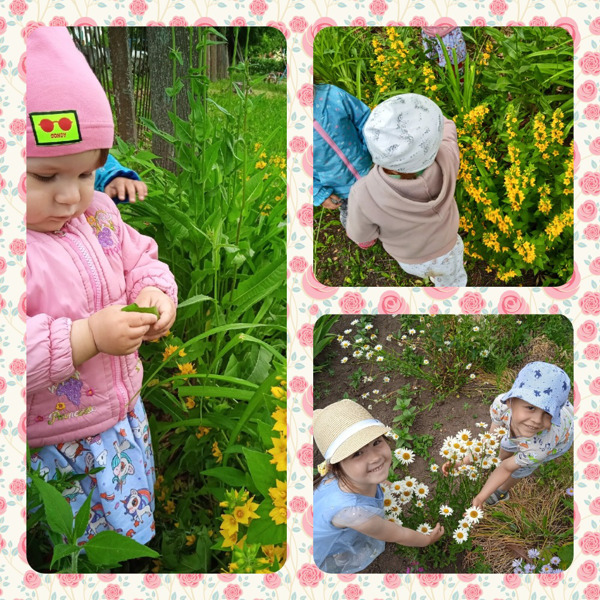 Лето - самый благоприятный период для общения ребенка с природой. А цветы – украшение и праздничный наряд лета.