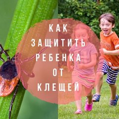 О рекомендациях, как защитить детей от клещей.