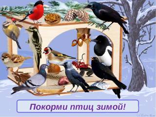 Эко- урок «Покормите птиц зимой ».