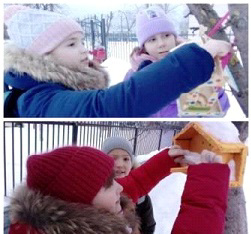 15 января – День зимующих птиц в России