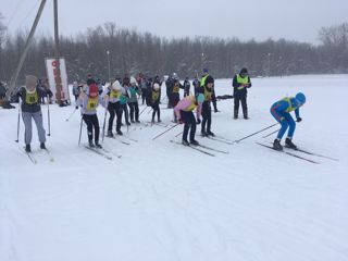 Состоялись соревнования по лыжным гонкам среди обучающихся общеобразовательных организаций Красноармейского  муниципального  округа.