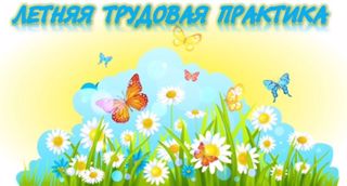 Летняя практика учеников на пришкольном участке