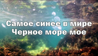 Межрегиональный интеллектуальный конкурс «Самое синее в мире...», посвященный Международному дню Черного моря