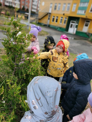 Наблюдения за растениями детского сада.