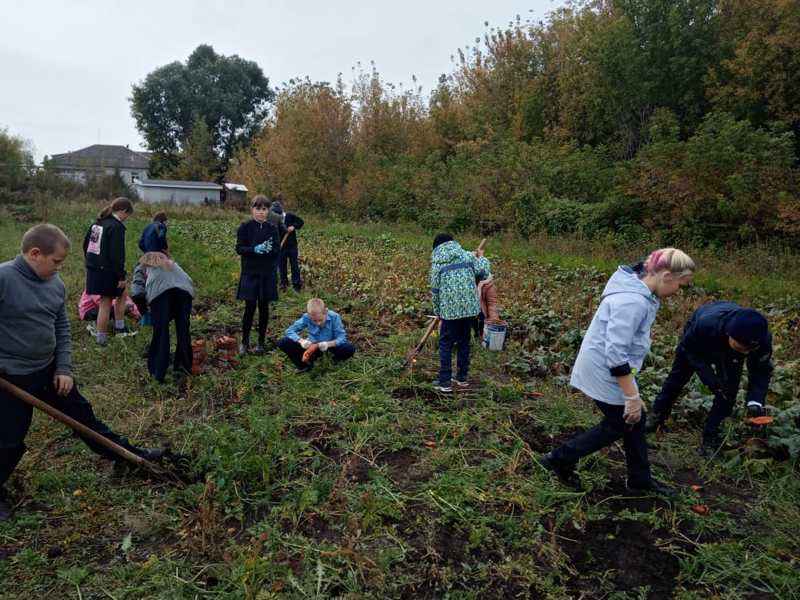 Пришкольный участок прививает трудолюбие и радует урожаем