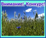 Республиканский конкурс творческих работ, посвящённых  Дню работников сельского хозяйства и перерабатывающей промышленности