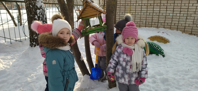 Как эколята - дошколята помогли зимой пернатым!