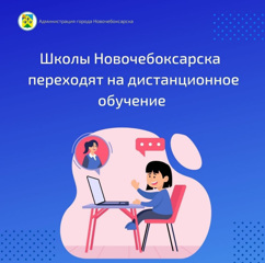 Школы Новочебоксарска переходят на дистанционное обучение