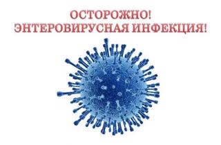 Энтеровирусные инфекции (ЭВИ)