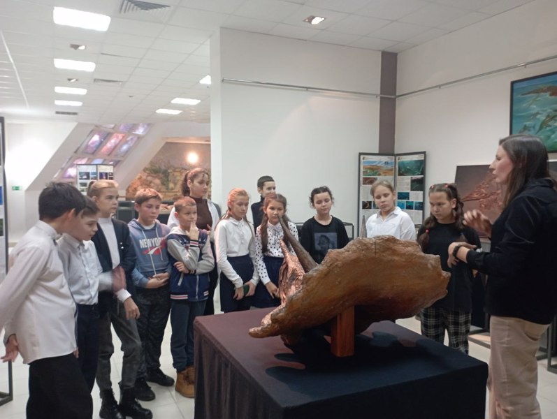 Учащиеся из 6б посетили выставку музея "Древняя жизнь"